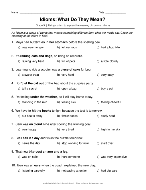 Preview of the Idioms: What Do They Mean? printable worksheet